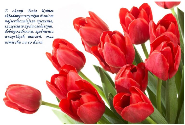 Read more about the article DZIEŃ KOBIET