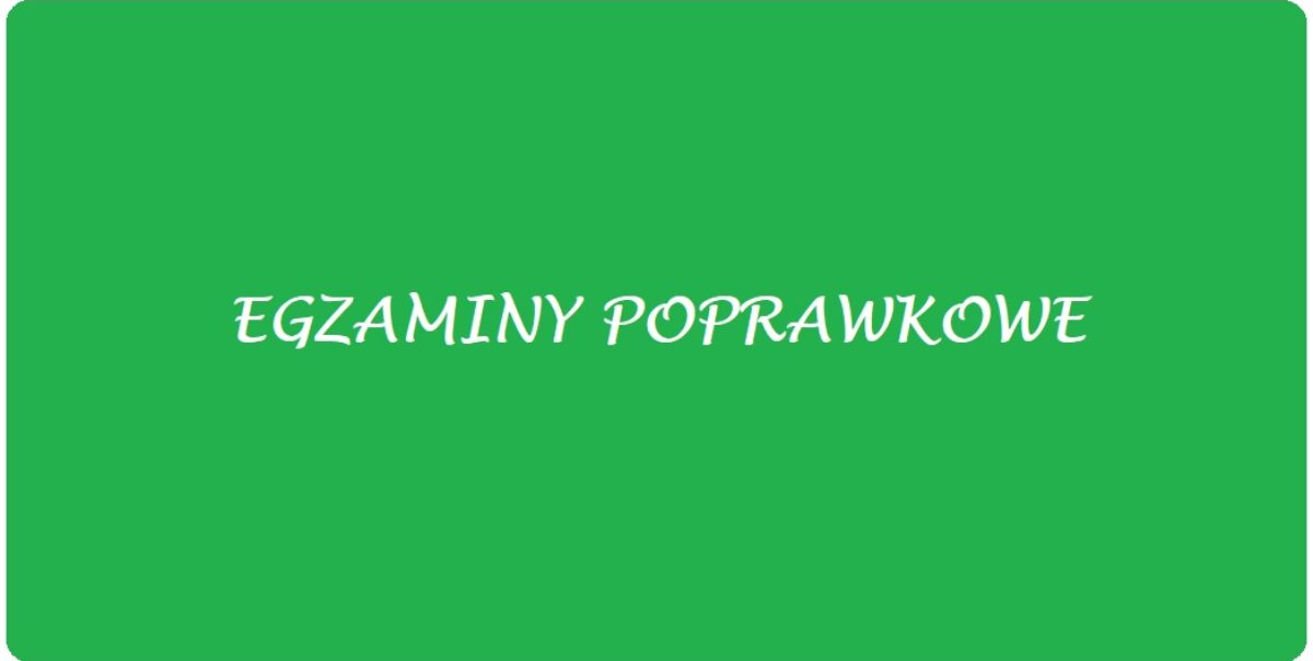 EGZAMIN POPRAWKOWY SIERPIEŃ 2026
