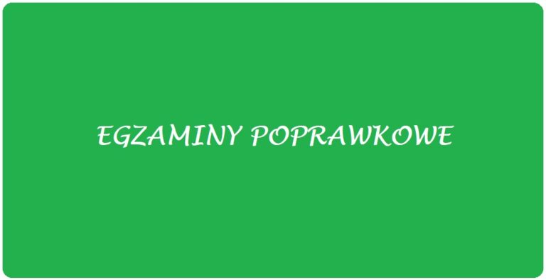 Read more about the article EGZAMIN POPRAWKOWY SIERPIEŃ 2026
